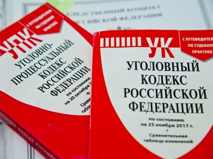 Волгоградке грозит срок за получение пособий на несуществующего ребенка