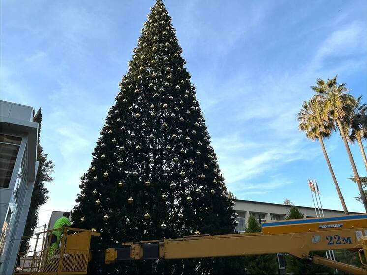 На площади Адлерского района Сочи установят новогоднюю елку длиной более 20 метров