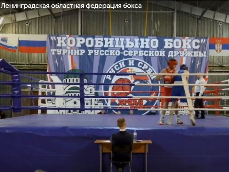 Выборгский район принял международный турнир по боксу