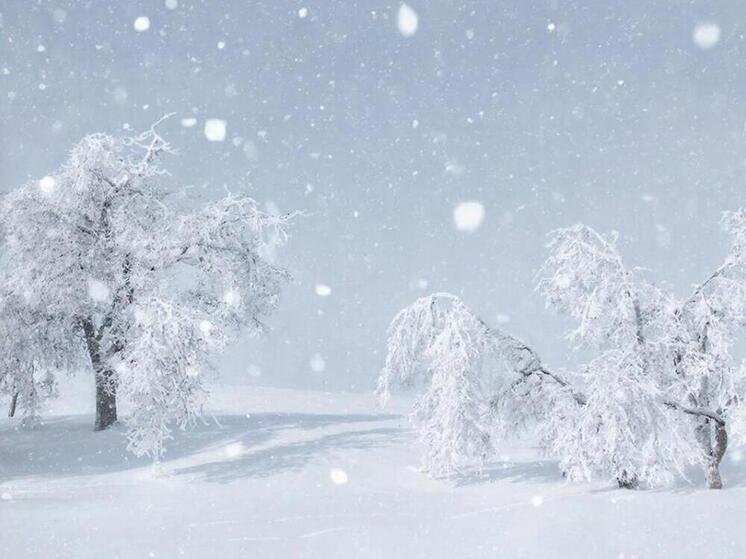 До +3 градусов потеплеет сегодня в Псковской области
