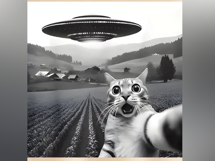 Почему иноагент Борис Гребенщеков не стал бы летать над Петрозаводском, о елелазах и многом другом - в обзоре новостей за пятницу