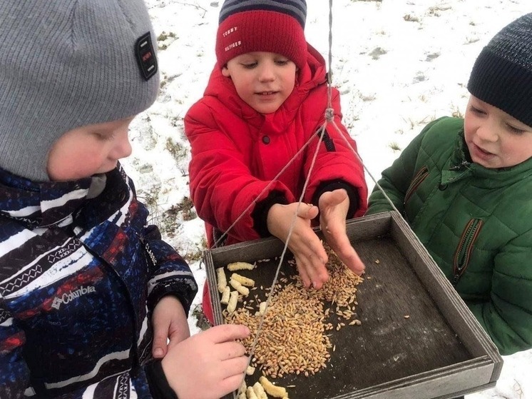 Завтра жителям Калмыкии нужно покормить птиц