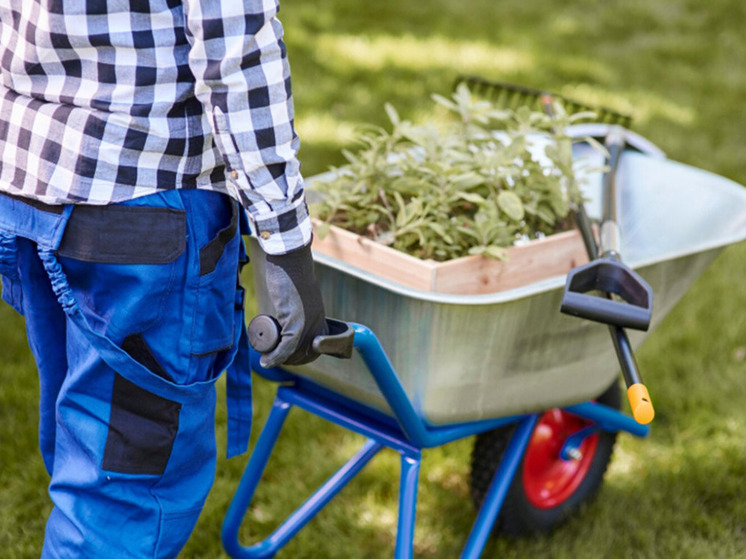 Дворы в пяти городах Амурской области ждет масштабное благоустройство