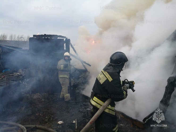 При пожаре в саду в поселке Каменка погиб человек