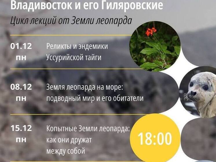 Цикл зимних лекций «Земли леопарда» стартует в Приморье