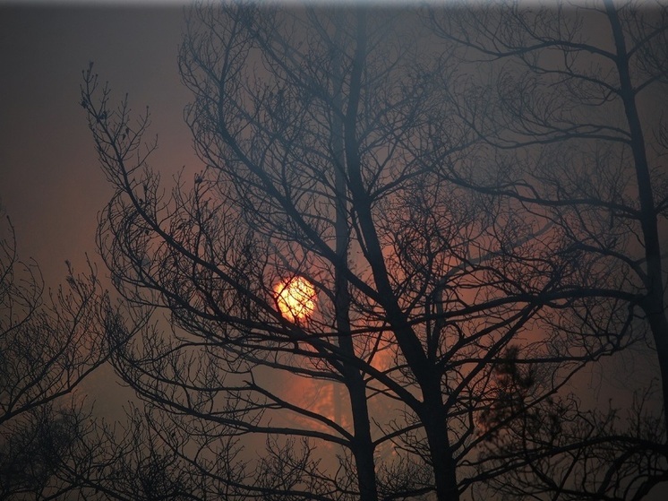 Волгоградцам грозят 4-балльные геоудары 29 ноября