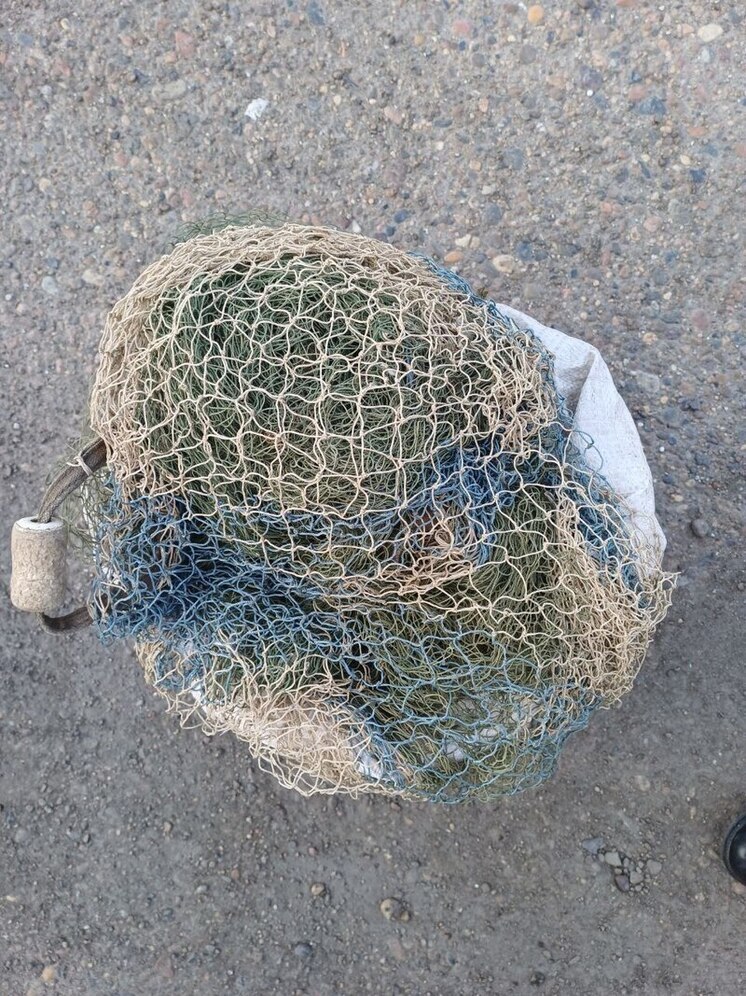 В Бурятии обвиняется рыбак за незаконный вылов осетра