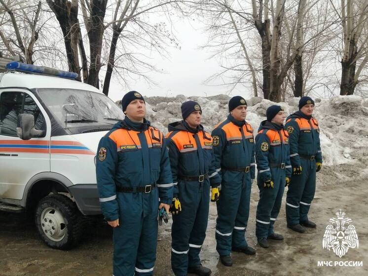 Три пожара произошли в Новосибирской области за последние 24 часа