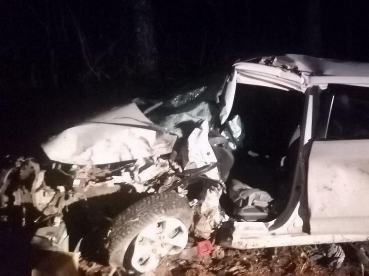 В Сернурском районе в ДТП пострадал водитель иномарки