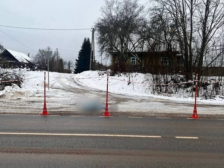 Молодой водитель насмерть сбил женщину в Валдайском округе