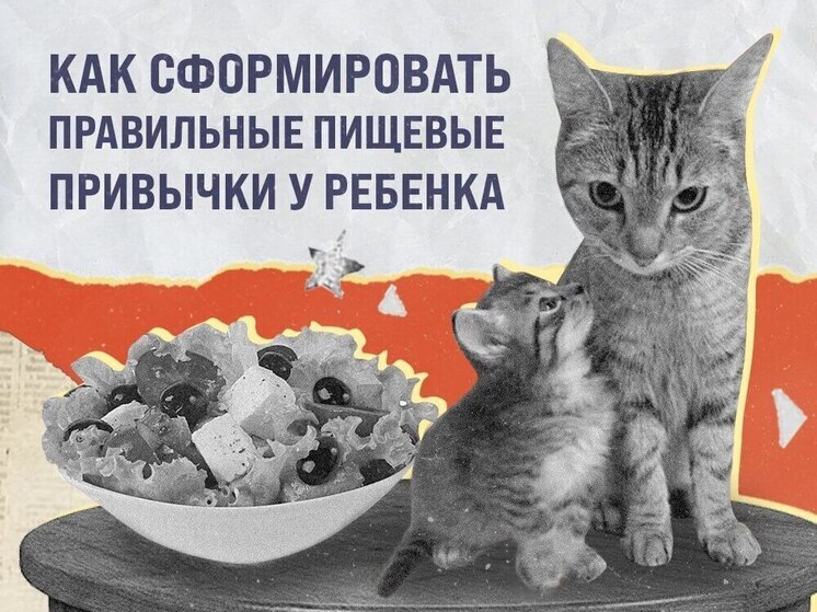 Псковичам рассказали, как заложить фундамент здорового питания у детей с раннего возраста