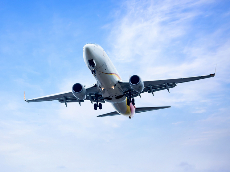 Названы последствия попадания молнии в самолет: стоит ли ужасаться