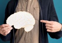 Ученые выяснили точный возраст, когда наш мозг начинает стареть