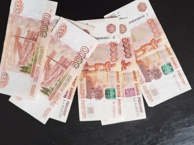 Суд наказал жительницу Мончегорска за злостную неуплату алиментов