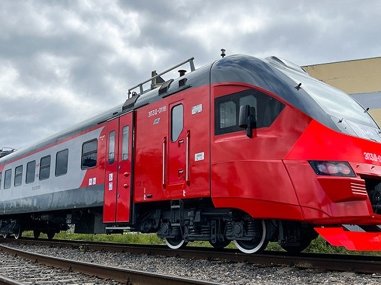 Демиховский машиностроительный завод (ДМЗ, входит в группу «Трансмашхолдинг») успешно завершил масштабный инвестиционный проект, ключевыми результатами которого стали запуск производства электропоездов с высокой степенью локализации и создание нового центра компетенций по выпуску тяговых редукторов