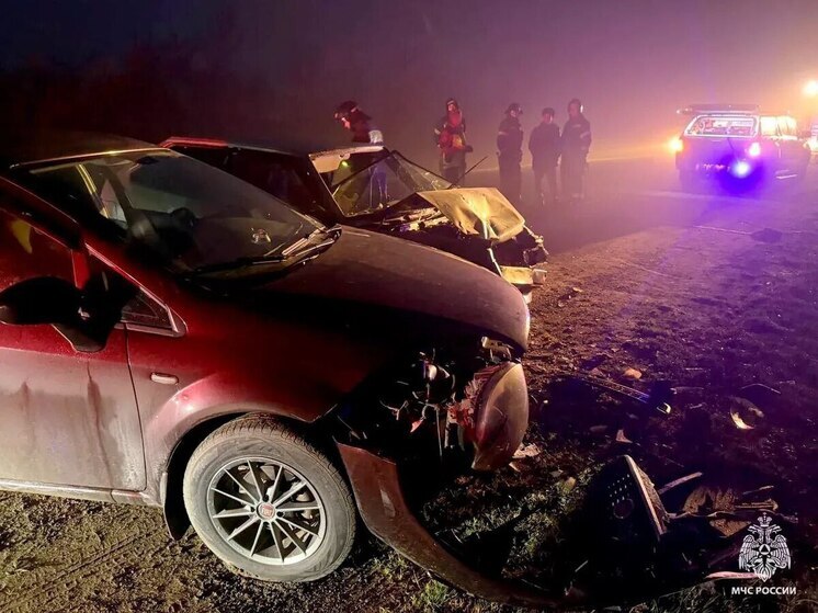 В Запорожской области три человека пострадали в ДТП на трассе «Новороссия»