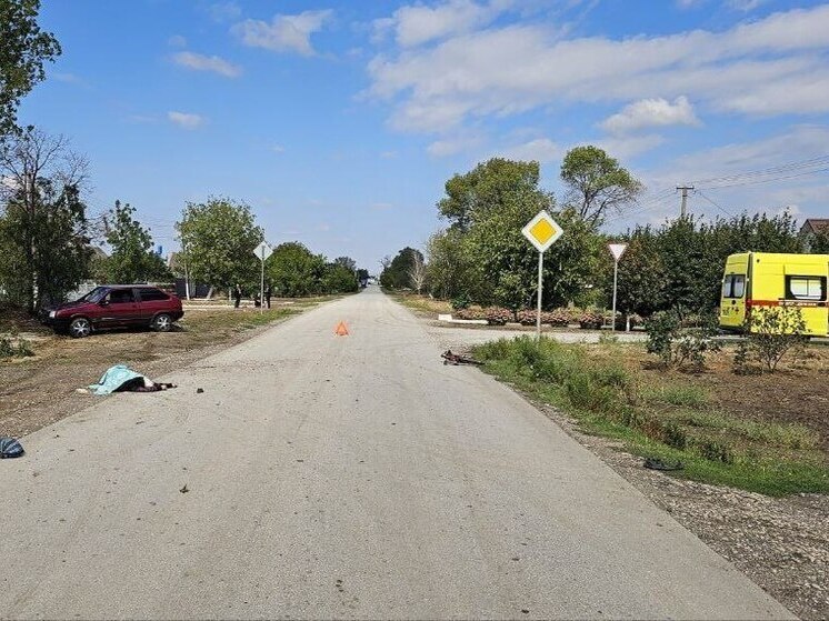 Херсонца судят за смертельное ДТП с велосипедисткой