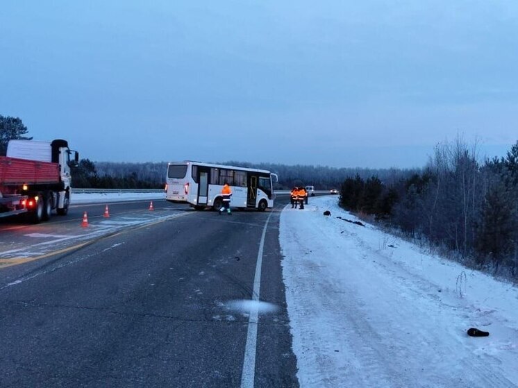 На подъезде к Свободному произошло смертельное ДТП с пешеходом