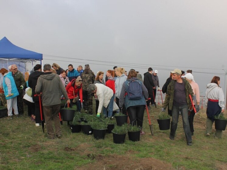 В районе Орджоникидзе высадили почти 2,7 тысяч деревьев
