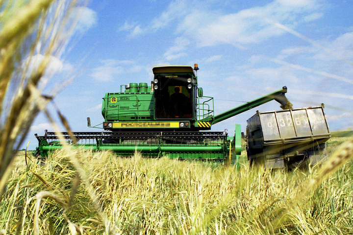 ООН прогнозирует рост производства продовольствия на 50–70% к 2050 году