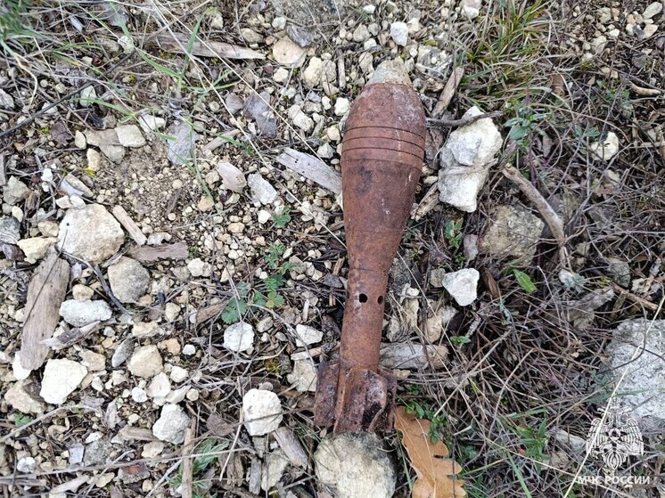 В Бахчисарайском районе уничтожили минометную мину времен войны