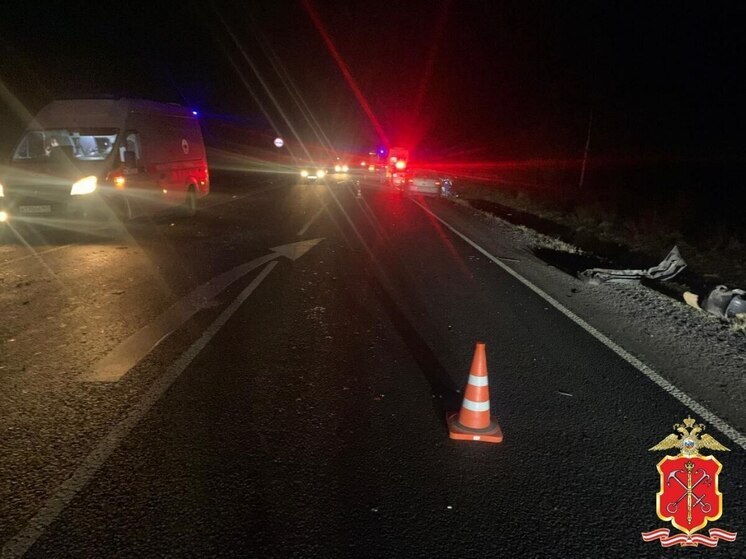 В Волосовском районе легковушка сбила насмерть 17-летнюю девушку на переходе