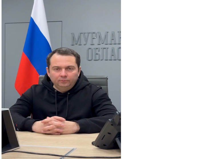 Дочь губернатора Мурманской области попалась на удочку мошенников