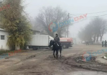 В Ростове-на-Дону закрытие единственного в области ипподрома стало одной из самых обсуждаемых тем года