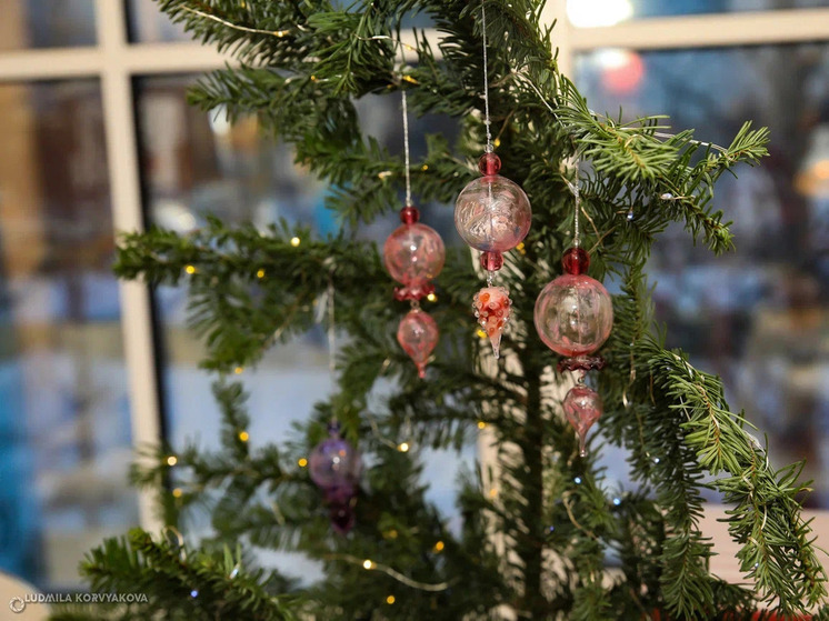 Ель, сосна или пихта: какое хвойное дерево лучше выбрать для встречи Нового года рассказали карельские эксперты