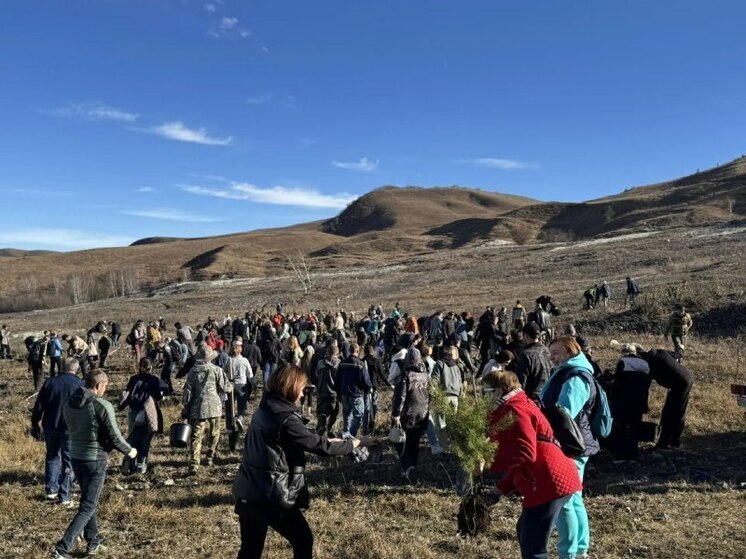 На масштабной экологической акции в Кисловодске высадили более 4 тысяч саженцев