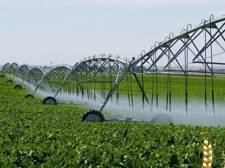 В Орловской области аграрии могут получить субсидии на мелиорацию земель