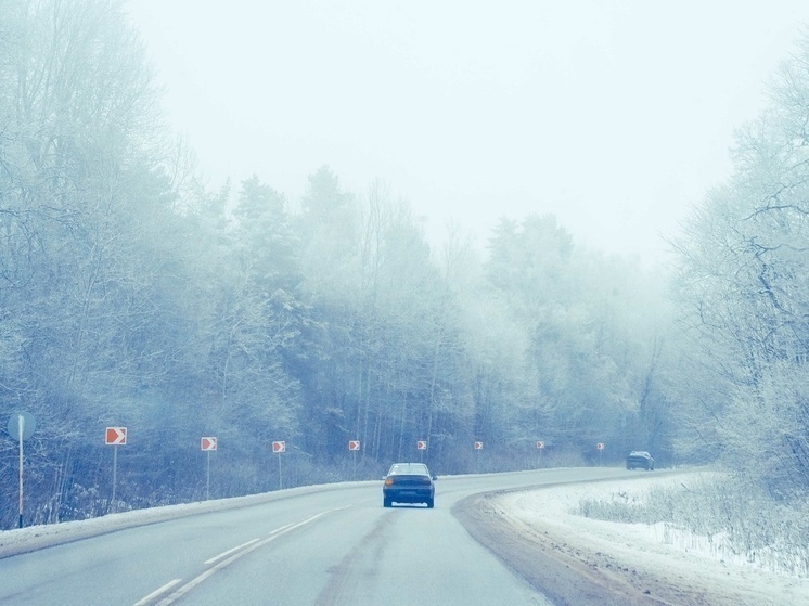 Тульскую область накроет густой туман