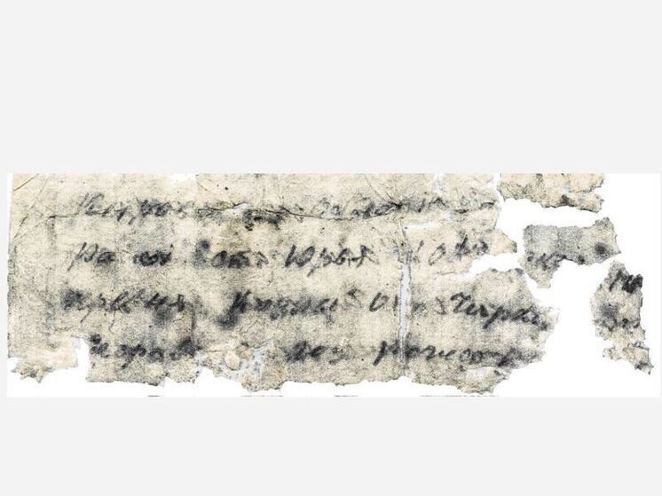 Поисковики нашли родственницу красноармейца, погибшего под Вырицей