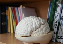 В последнее время врачи в разных странах фиксируют тревожную тенденцию: деменция стремительно «молодеет»