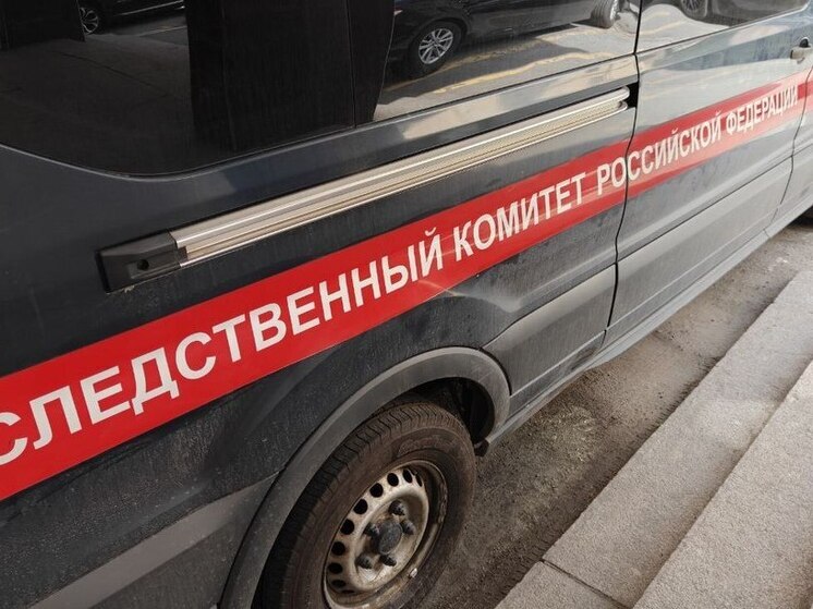 В Петербурге следователи выясняют причины нападения пациента на фельдшера