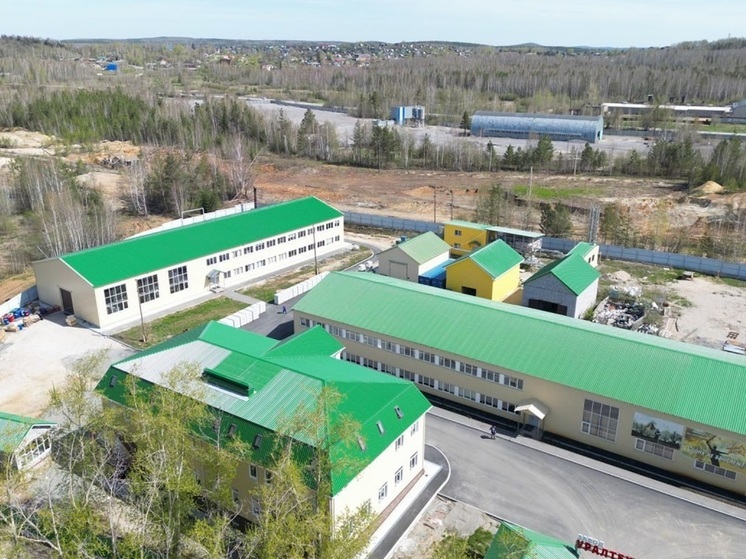 Денис Паслер анонсировал открытие импортозамещающего производства в Дегтярске