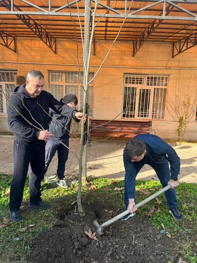 В Дагестанском селе высадили более 300 деревьев в рамках экологической акции