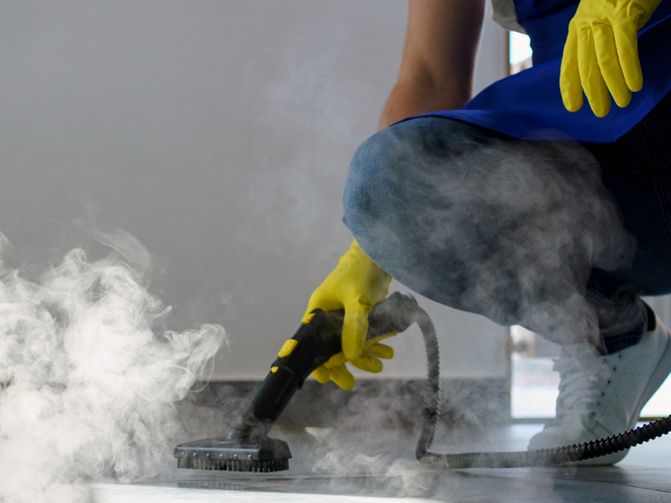 Осторожно, пар! Какие поверхности в тамбовских домах может испортить пароочиститель