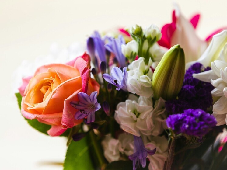 Фонд «Защитники Отечества» выразил благодарность матерям ветеранов СВО