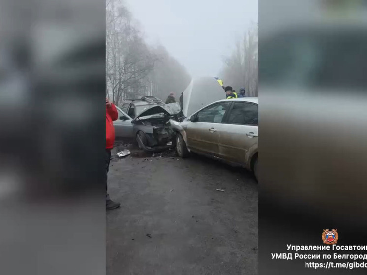 В Белгородской области при лобовом столкновении машин пострадали два человека
