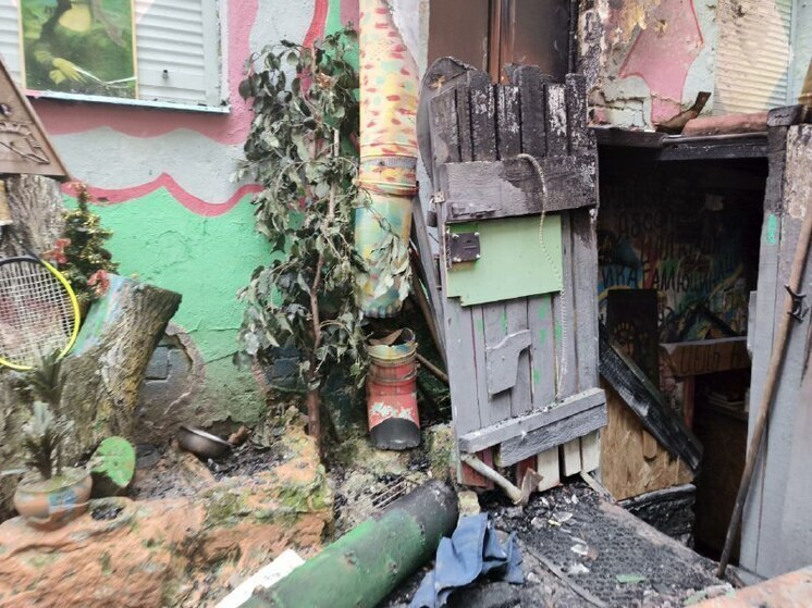 Мастерская художника Нельсона осталась невредимой после поджога