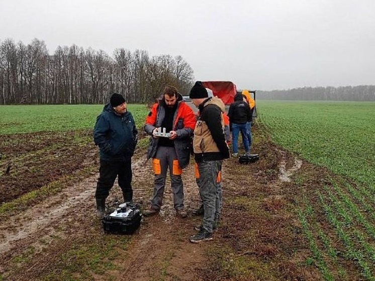 Тульская область получила 6 БПЛА для мониторинга лесов