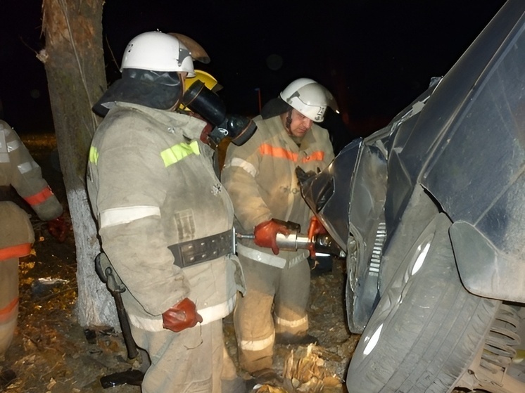 В Грибановском районе Воронежской области «Лада Гранта» врезалась в отбойник