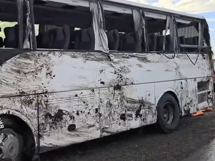 В минздраве рассказали о пострадавших детях в ДТП с автобусом