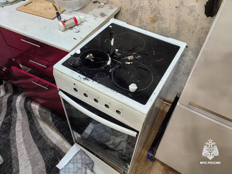 В Новосибирске собака случайно спровоцировала хлопок аэрозольного баллончика