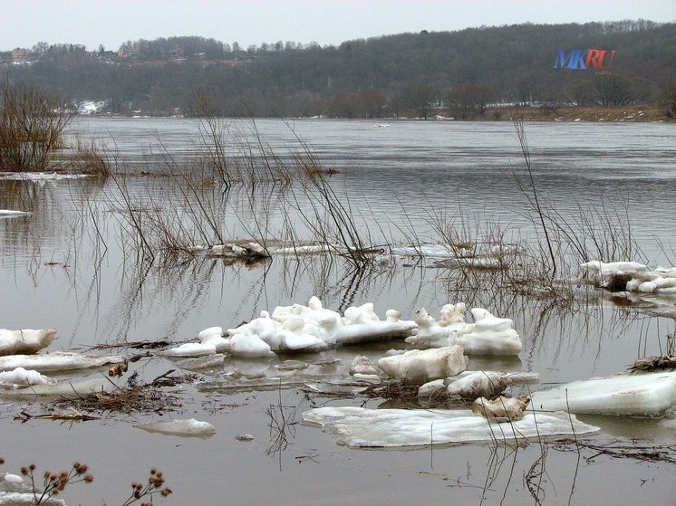 Малоярославецкие моржи готовятся к рекордам