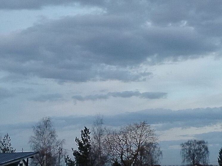 Ноябрь в Ленобласти закончится осенним дождем и шквалистым ветром