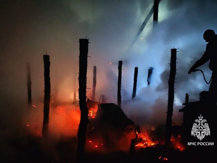 В Курском районе мужчина погиб при пожаре из-за неисправной проводки