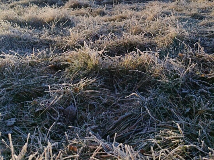 Белгородцев предупредили о двух градусах мороза в воскресенье