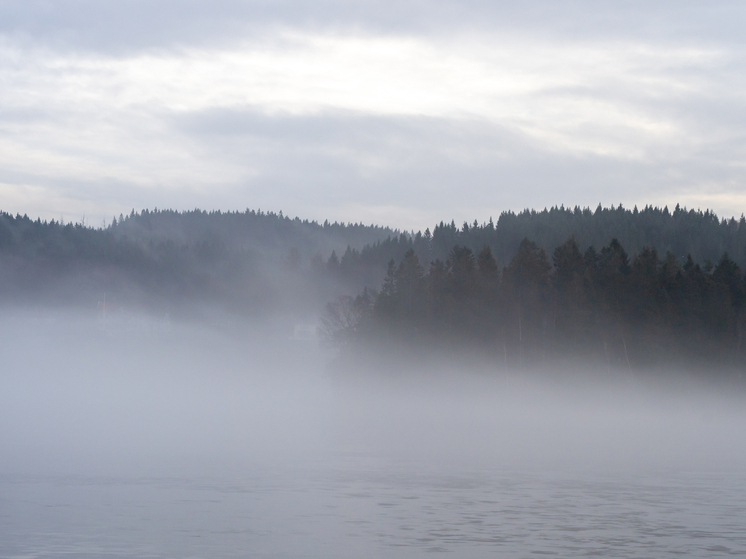 МЧС предупредило о тумане на дорогах Мордовии